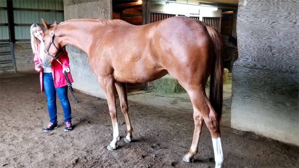 Exploding Lucy - Thoroughbred Mare For Sale