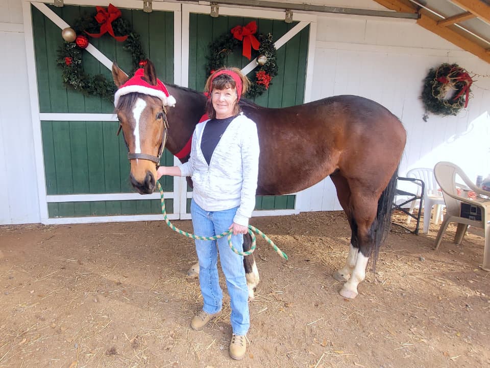 Forrest Cat - A 2020 Christmas Pony!