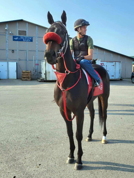 My Dude Billy is a 2021 Thoroughbred gelding for sale from Bits & Bytes Farm