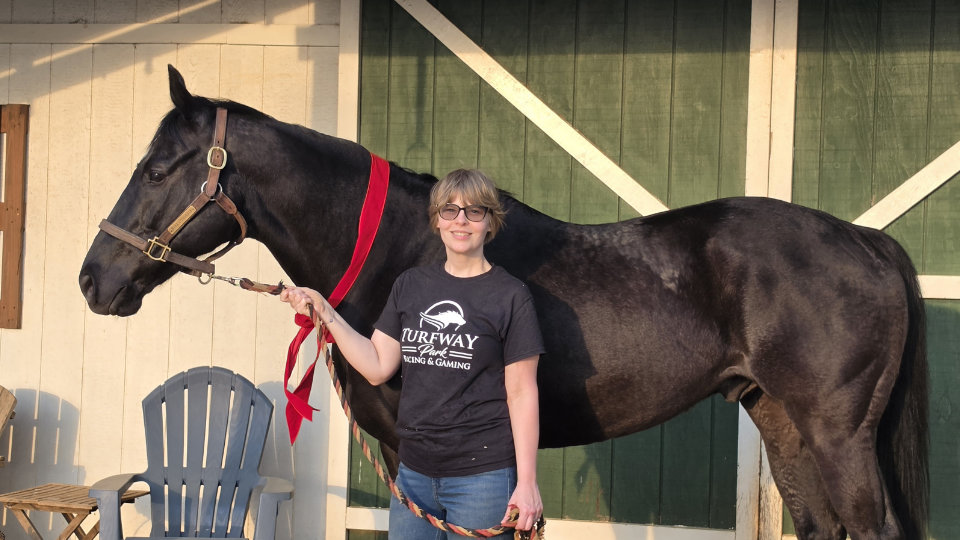 Thoroughbred horse for sale, Hink's Paladin has been sold!